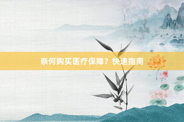 奈何购买医疗保障？快速指南