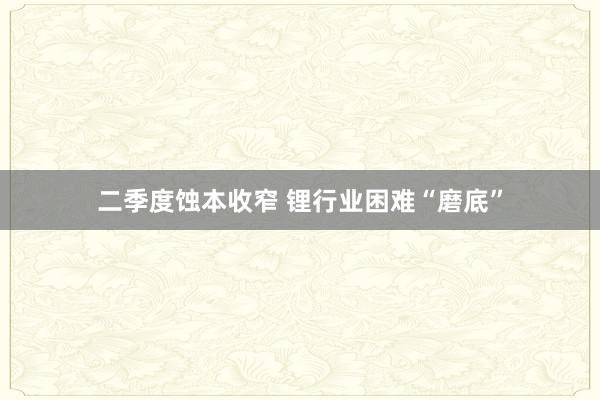 二季度蚀本收窄 锂行业困难“磨底”