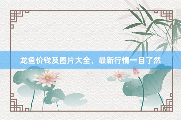 龙鱼价钱及图片大全，最新行情一目了然