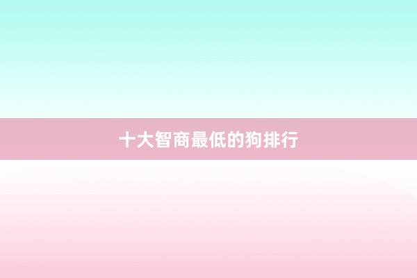 十大智商最低的狗排行