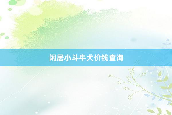 闲居小斗牛犬价钱查询