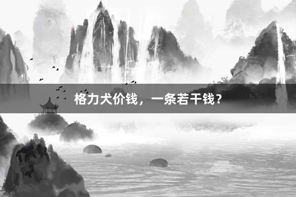 格力犬价钱，一条若干钱？